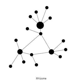 ee98c-topo_rhizome2